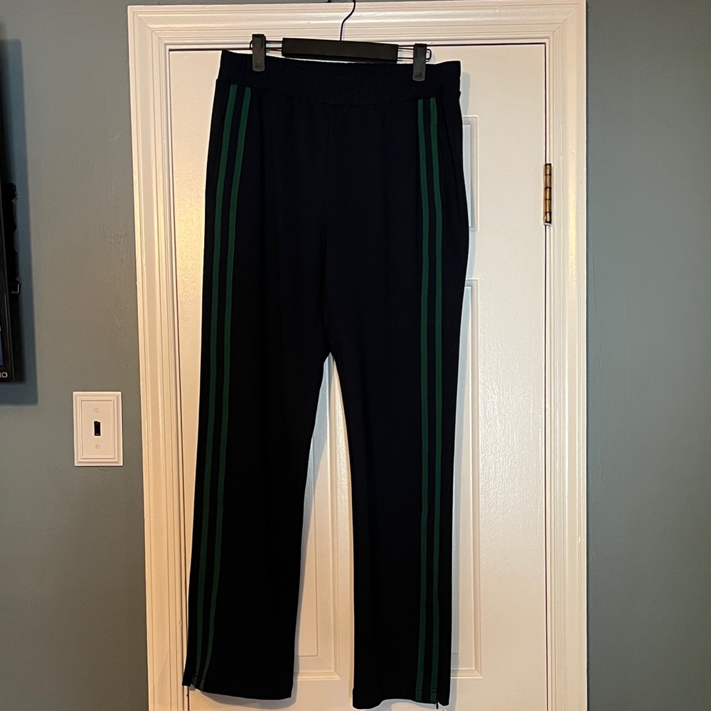 Banana Republic Factory Navy Side-Stripe Pants with Green Stripes